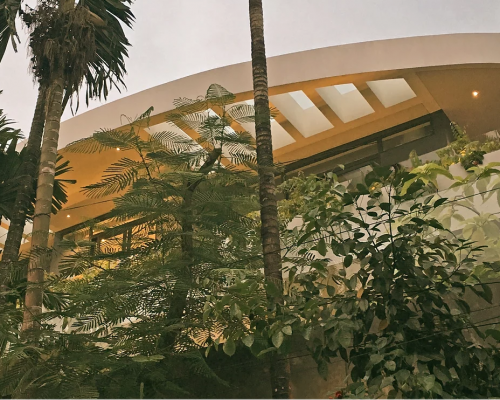 The Garden of Sarasvati